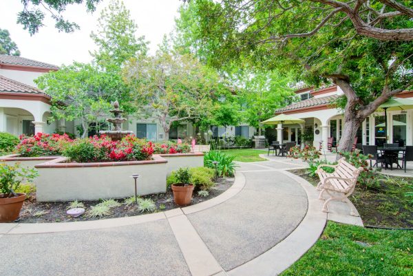 An outdoor area with a walking path and lots of green trees