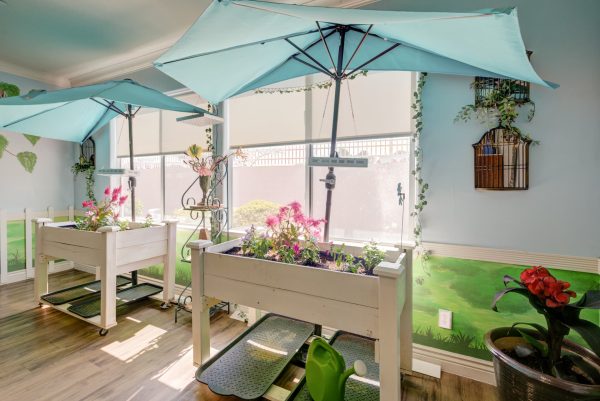 An indoor garden with raised flower beds, blue umbrellas, and bright windows