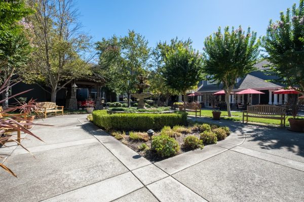 A courtyard area with shrubs, trees, and walking paths