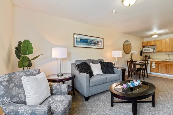 A small living room with a kitchenette in the background