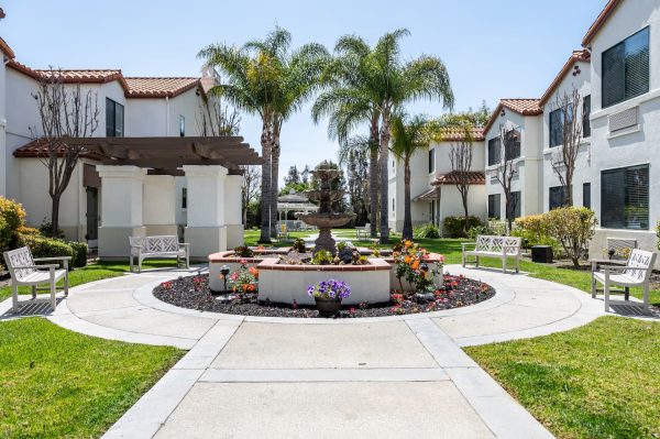 A walking path in the courtyard, with flowers and palm trees in the middle