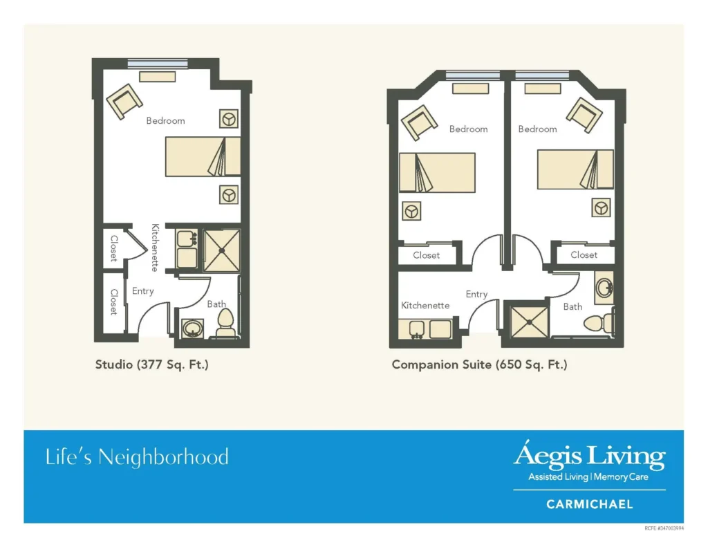 companion suite
