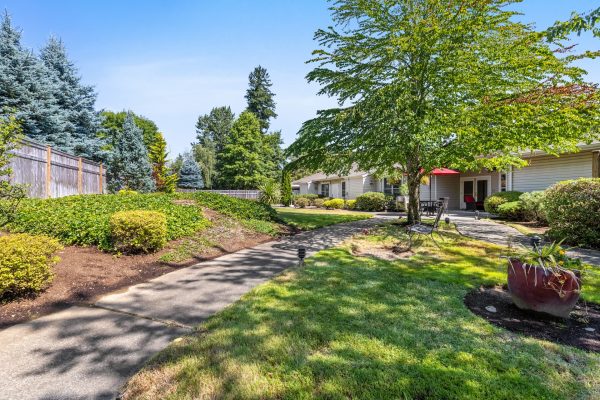 An outdoor area with green grass, a large tree, and a concrete path