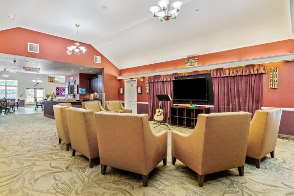 A group of brown armchairs facing a television and a guitar