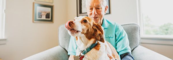 A dig sitting on a resident’s lap