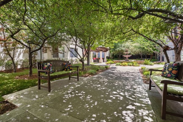 An outdoor walking path with benches on either side